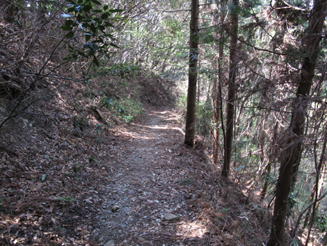 20140419hike (225)
